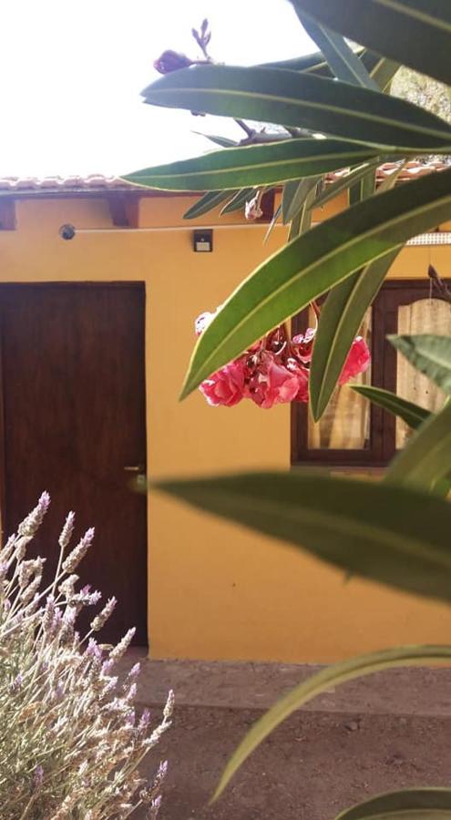 Hotel Mamaku Huasi Cafayate Exterior foto